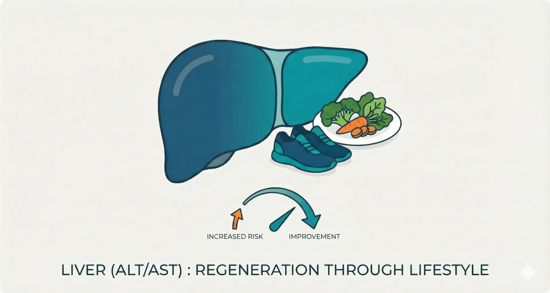Liver (ALT/AST): Regeneration Through Lifestyle